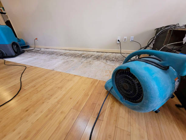 Professional Water Extraction technician working in Old Lyme, CT